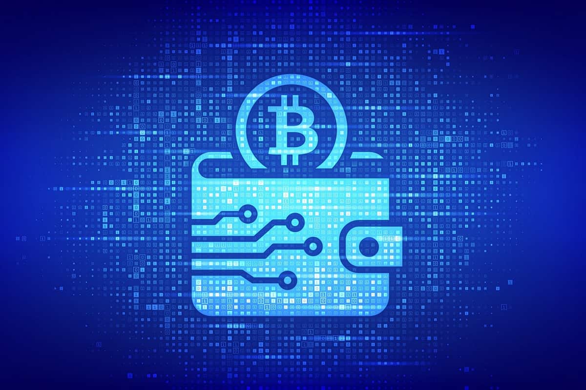 How Wallet Payment Processing is Transforming Online Payments